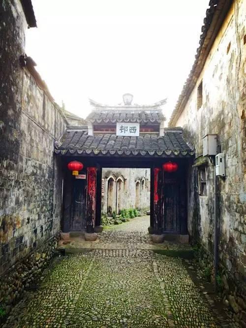 植物大战僵尸2